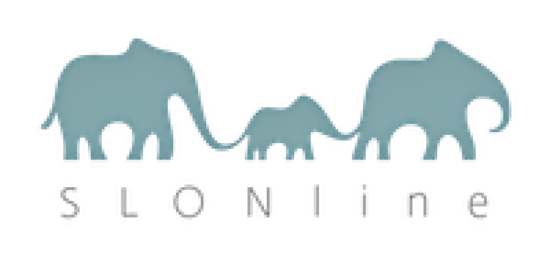 logo slonline